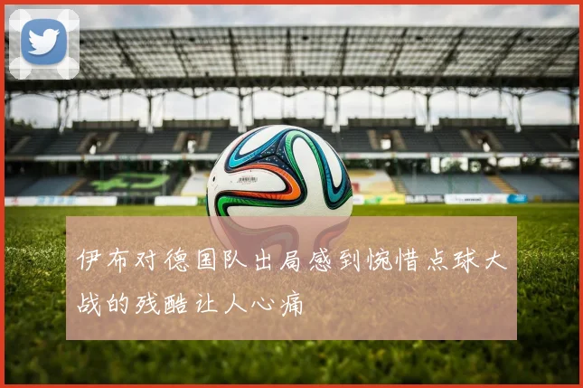 伊布对德国队出局感到惋惜点球大战的残酷让人心痛