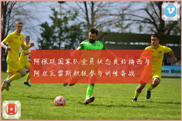 阿根廷国家队全员状态良好梅西与阿尔瓦雷斯积极参与训练备战