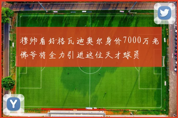 穆帅看好格瓦迪奥尔身价7000万老佛爷将全力引进这位天才球员